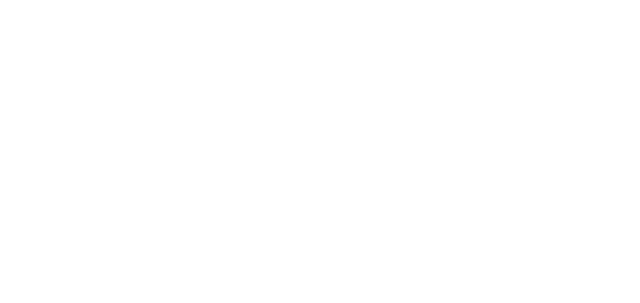 Human Driven AI Summit